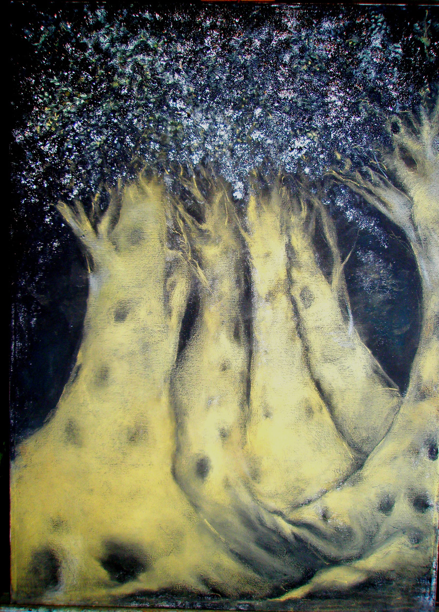 Tree 3 — Works on Paper